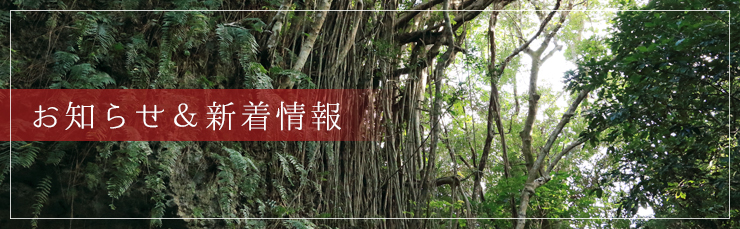 お知らせ＆新着情報