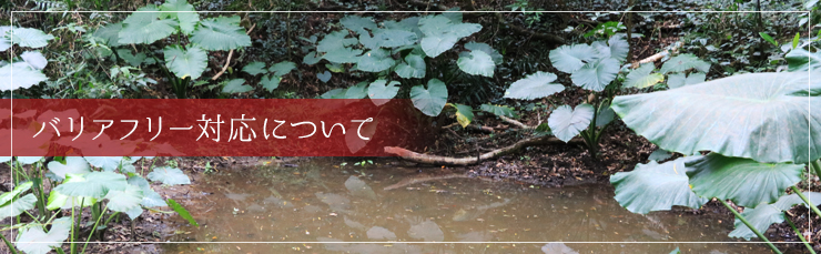 バリアフリー対応について
