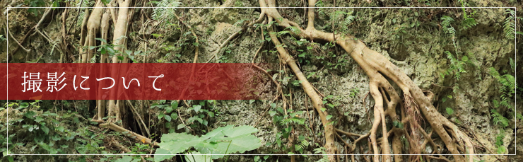 撮影について